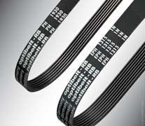 optibelt RB 1 PH 975 RB