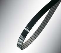 optibelt ZR 160 XL 025