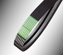 Kraftbands AP1004519