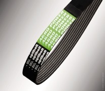 Ribbed Belts AP1003088